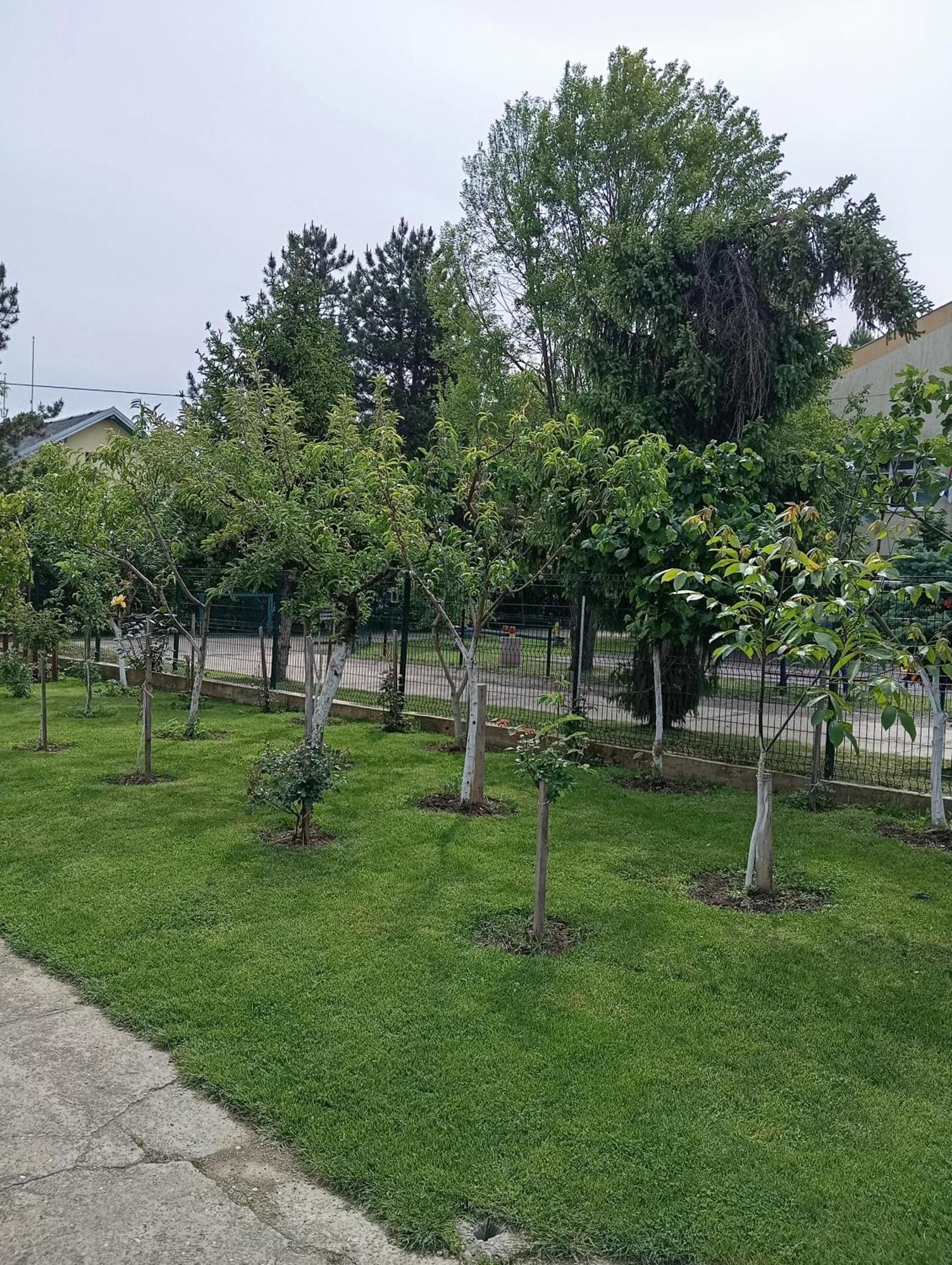 Milica Apartmani Vrdnik Exterior photo